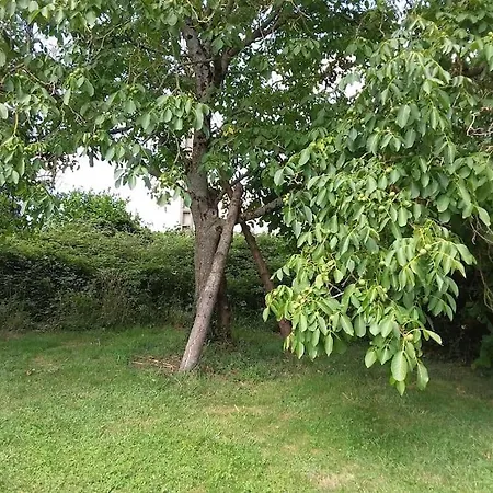 Maison Campagne Spacieuse *