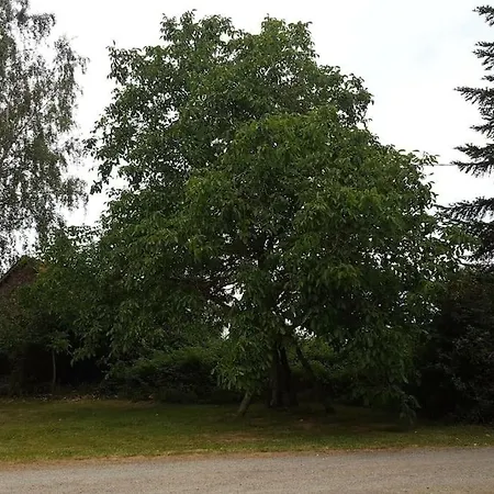 Maison Campagne Spacieuse * Degré