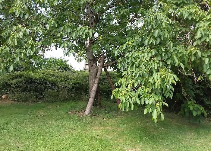 Maison Campagne Spacieuse *